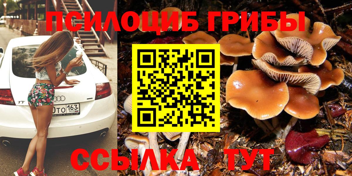 Псилоцибиновые грибы прущие грибы  купить закладку  Ефремов  Вход с VPN 